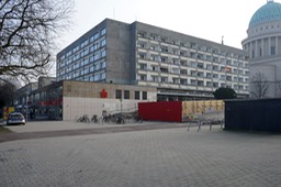 DSC05890