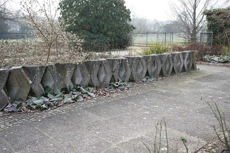 DSC05919